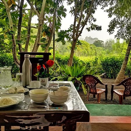 Sigiriya Palace View Екстер'єр фото