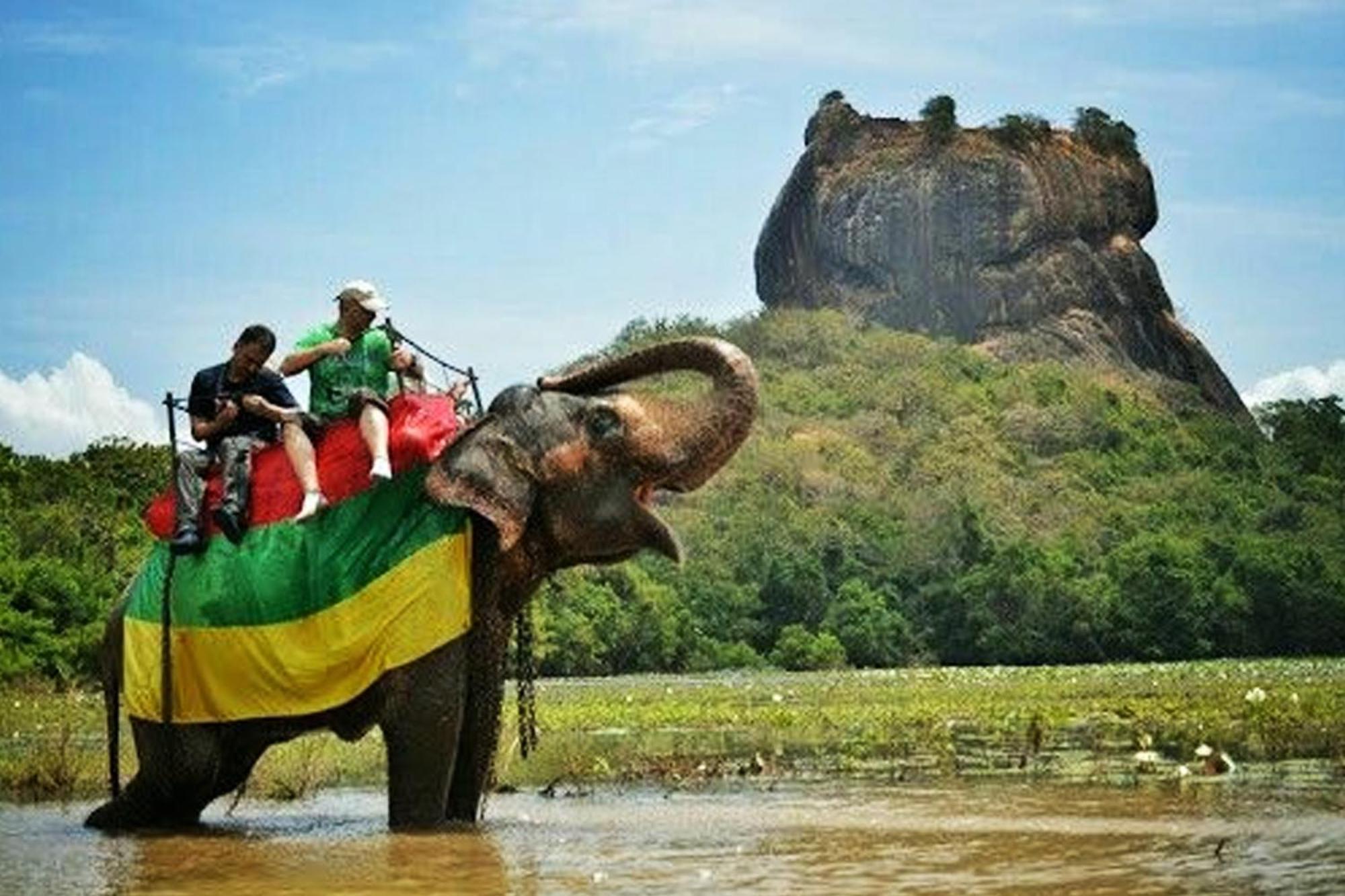 Sigiriya Palace View Екстер'єр фото