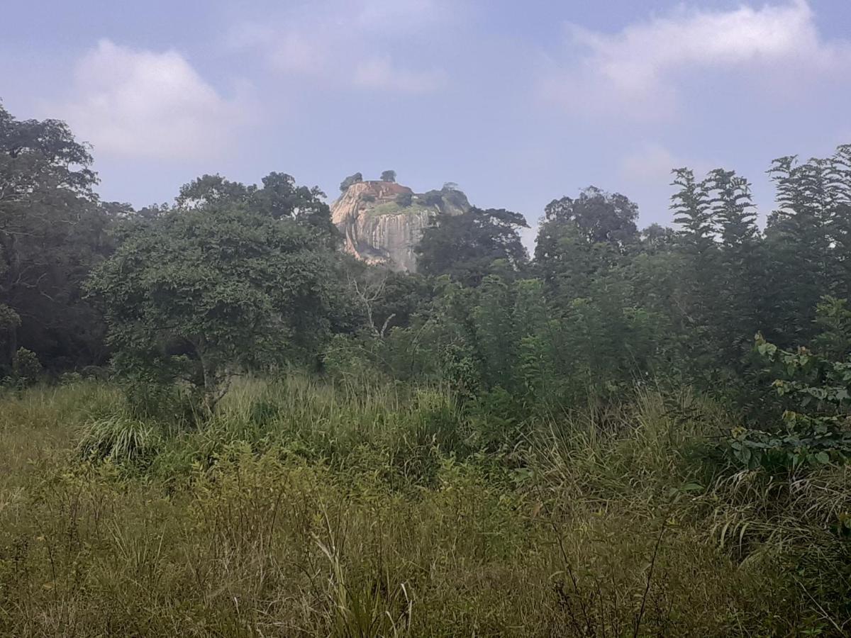 Sigiriya Palace View Екстер'єр фото